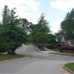 Single-Family Residential Subdivision