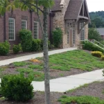 Commercial Office Building